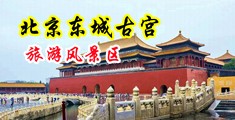 羞羞视频试看中国北京-东城古宫旅游风景区